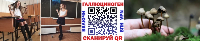 Галлюциногенные грибы мицелий  Купить где  Пласт 